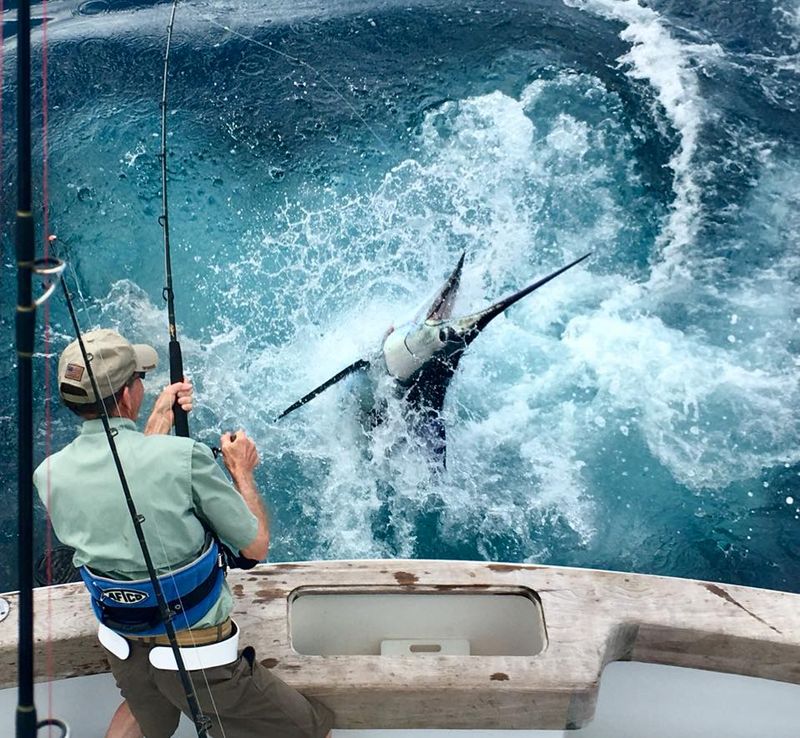 Epic Sportfishing Costa Rica Inshore and Offshore Saltwater Fishing