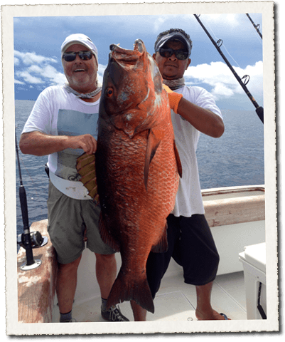 Snapper caught on charter trip